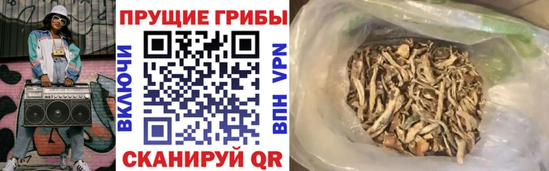 Купить закладки  Кыштым  Галлюциногенные грибы прущие грибы 