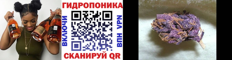 Купить закладки  Кыштым  Марихуана конопля 